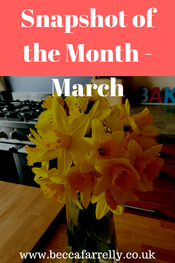 Snapshot-of-the-month-march
