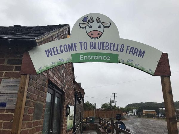 Enjoying the Summer Holidays at Bluebell Dairy