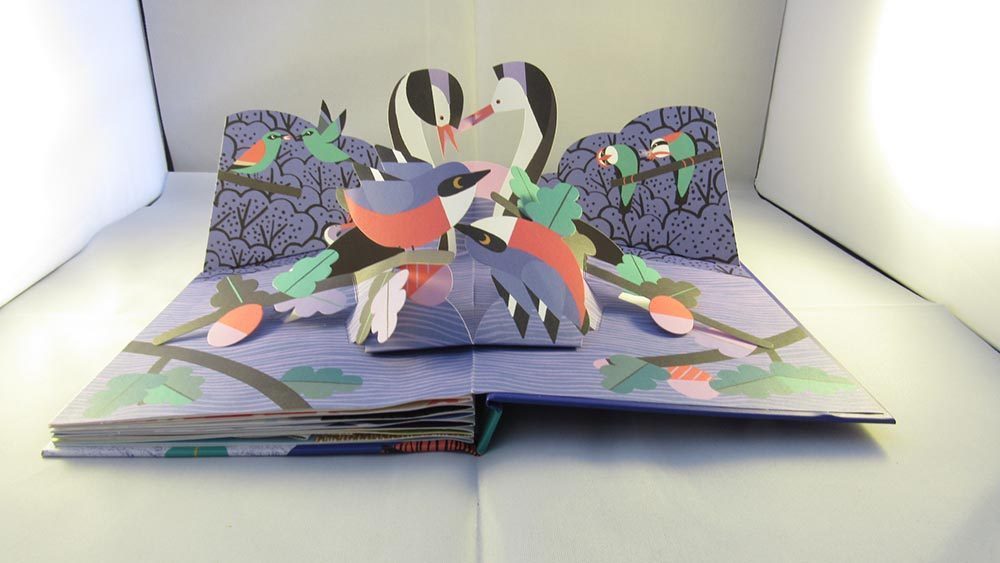 Pop up book with 4 birds sat together